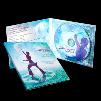 flowtoys - flow-wand fundamentals DVD